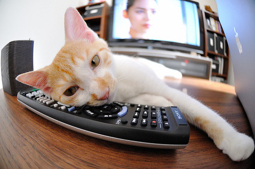 中小学体育课程内容创新研究,中小学体育改革创新优秀案例