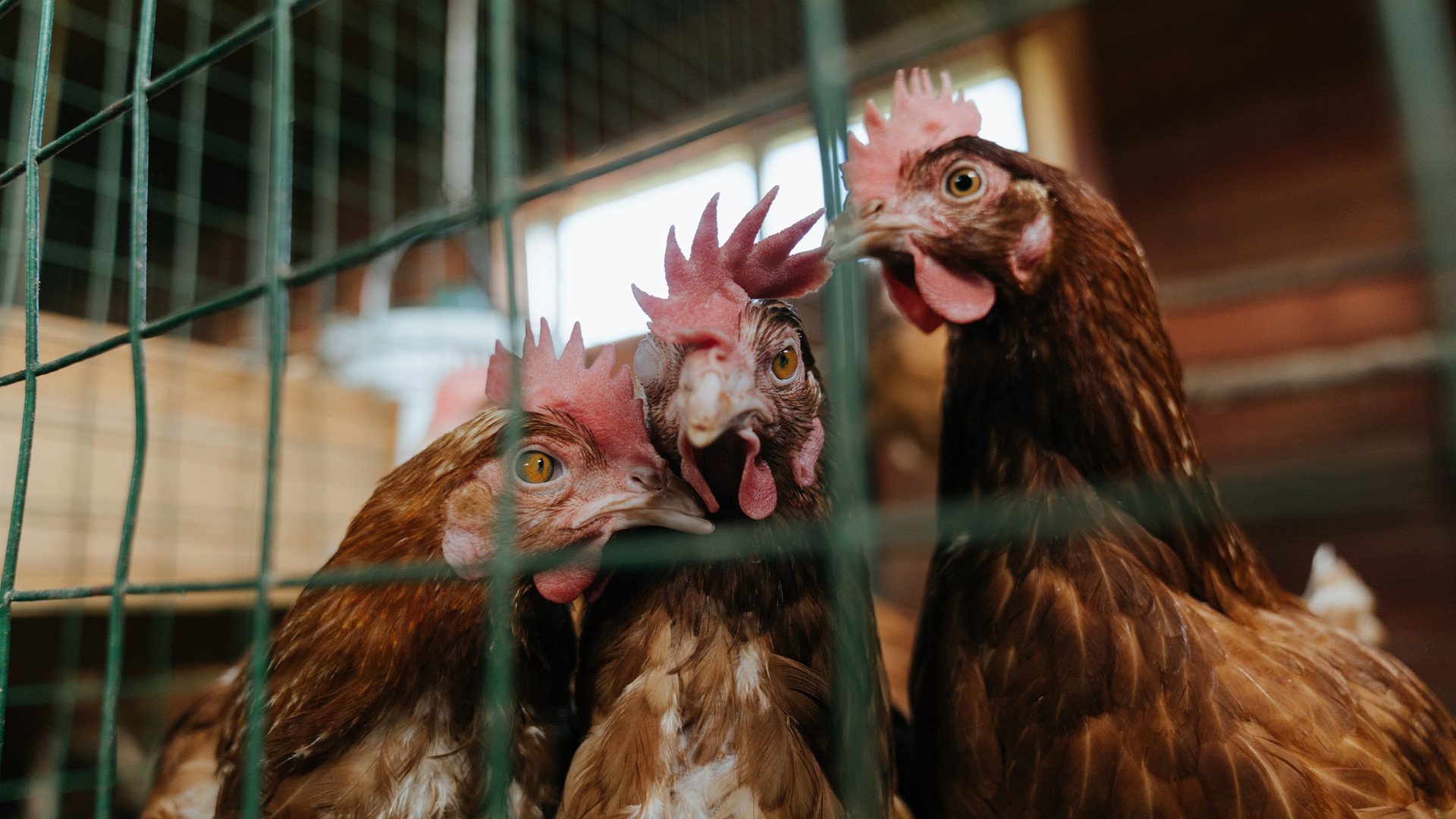 体教融合背景下的体育课程综合改革路径，体教融合背景下高校体育