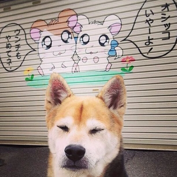 kaiyun开云·官方网站-体育赛事风险控制措施，体育赛事风险控制方法