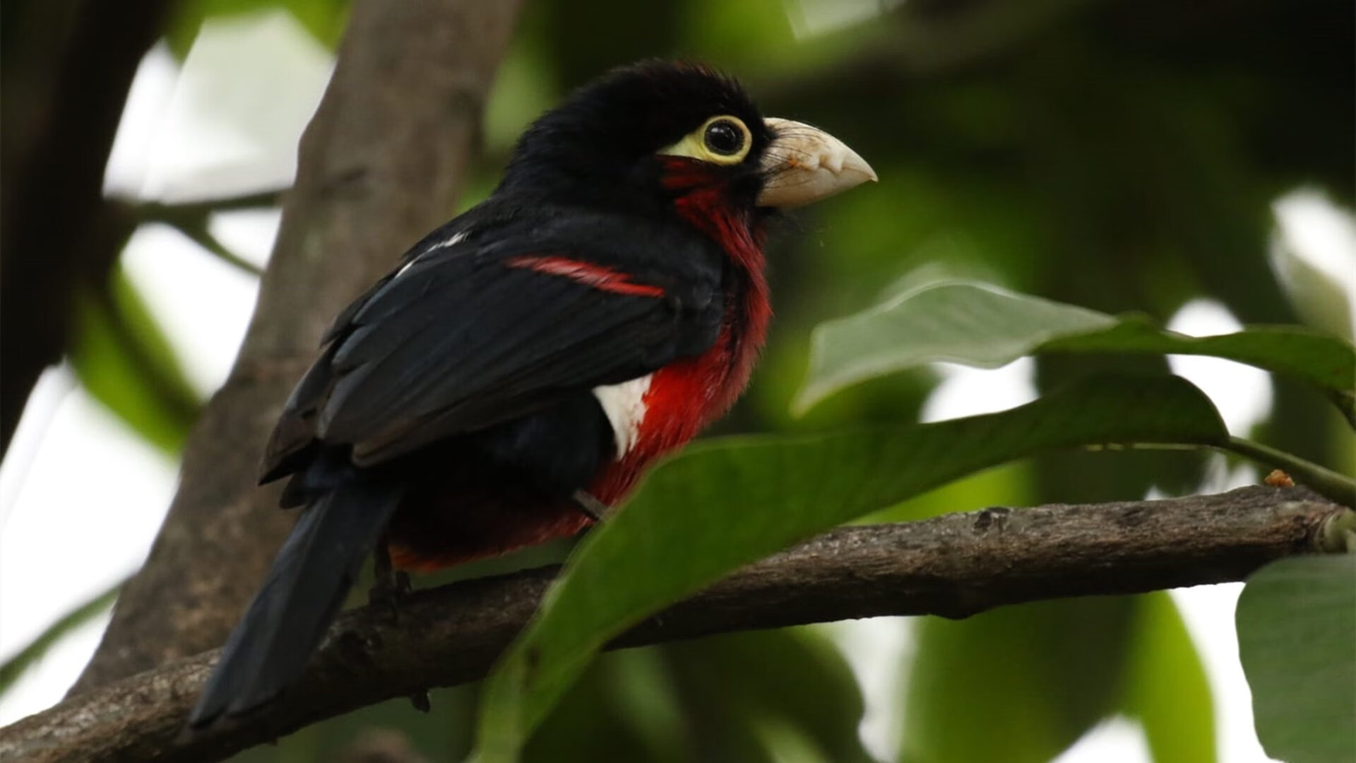 开云官方网页登录-全国青少年跑酷大赛在北京门头沟精彩开启，青少年跑酷体能训练