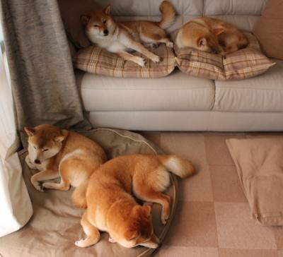 换帅潮:战术风云变幻背后的幕后故事,换帅是什么意思