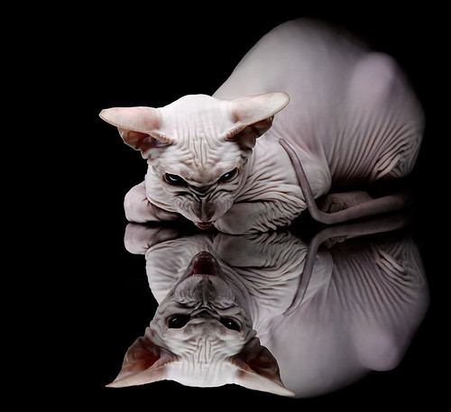 CBA官方公布下赛季比赛日程,cba赛程2021下半年