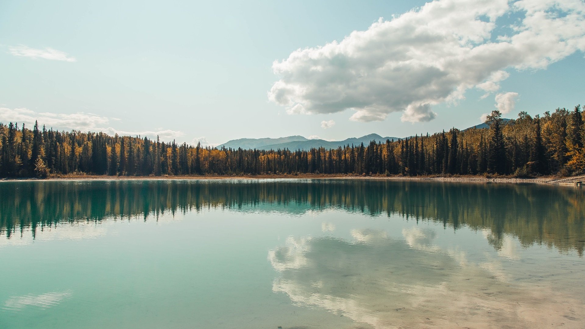 东亚杯中国足球惨败 球迷呼吁加强训练体系，东亚足球联合会杯