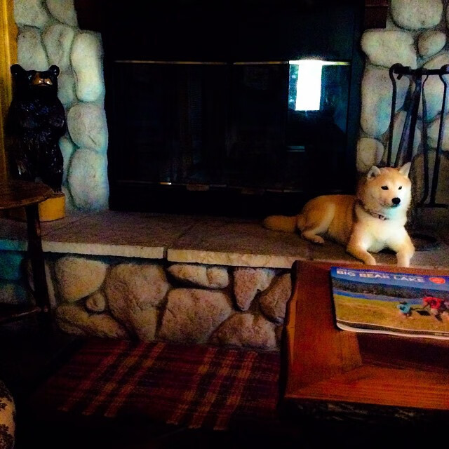 亚洲杯国足爆冷 球迷呼吁技术改革,亚洲杯 中国足球