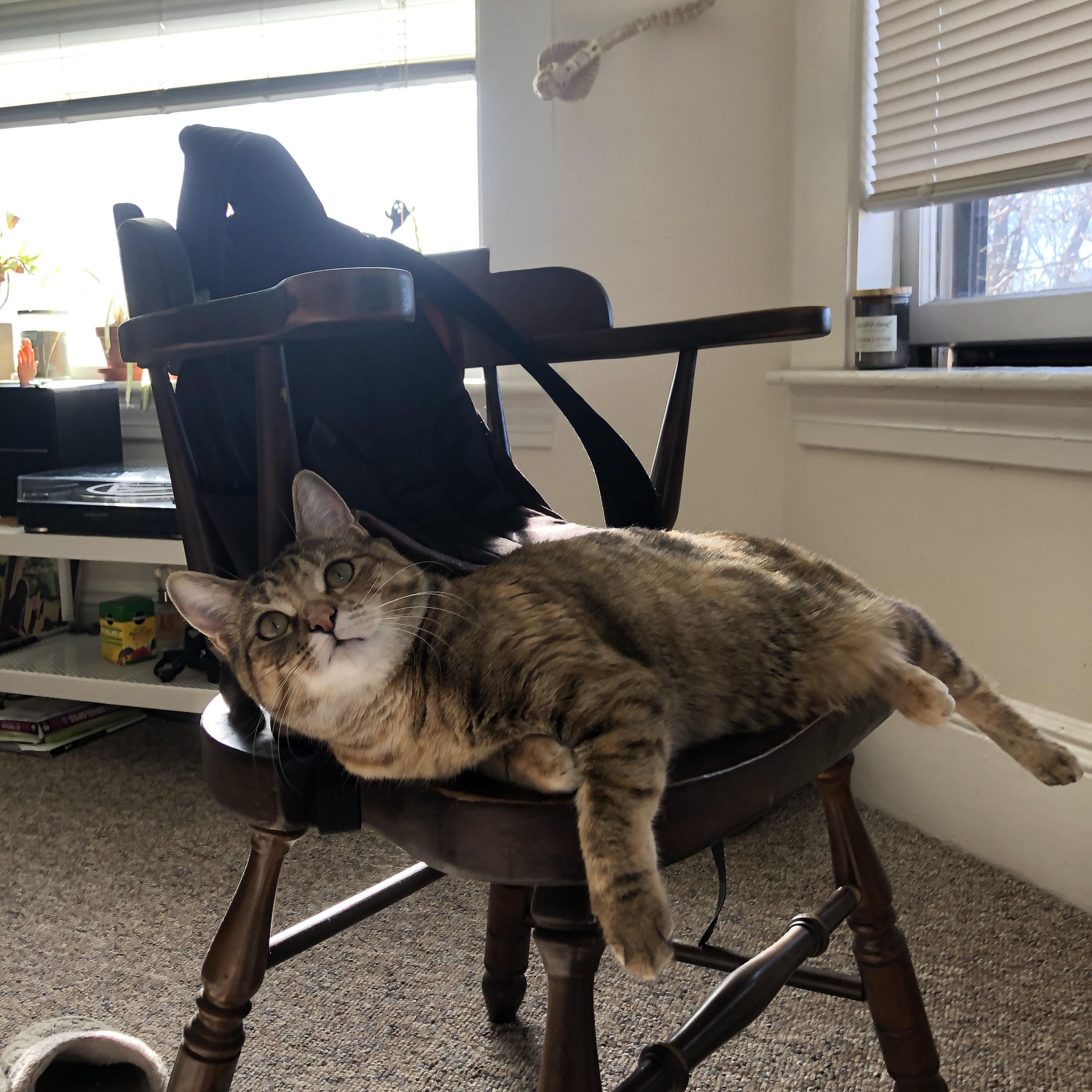 奥预赛中国青年队爆冷 技术执行仍需提升,2022青奥