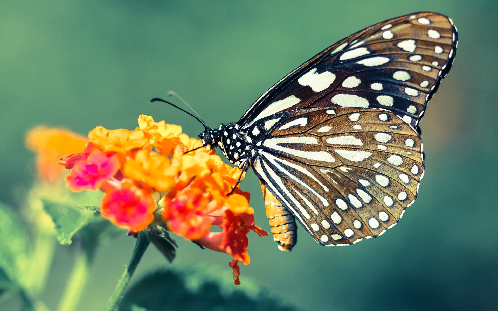 科斯技术动作精准完美演绎,科斯科技