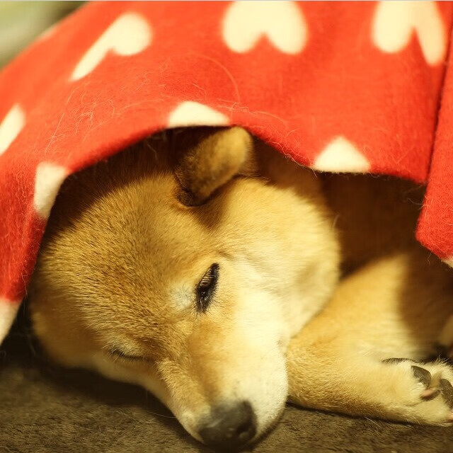 黄蜂高管表示球队更衣室文化正积极转变，黄蜂球衣变迁史