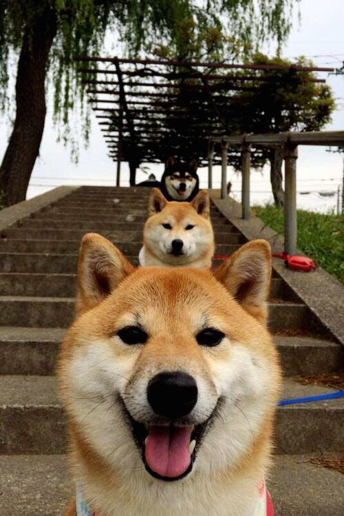 9月24日欧联球迷最关注的弗赖堡VS巴塞尔,弗赖堡对拜仁