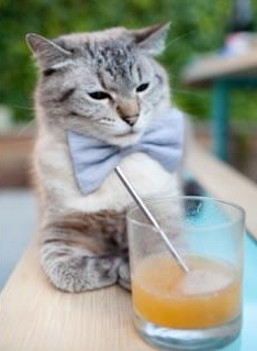 两队风格迥异,对抗看点十足,两队对决