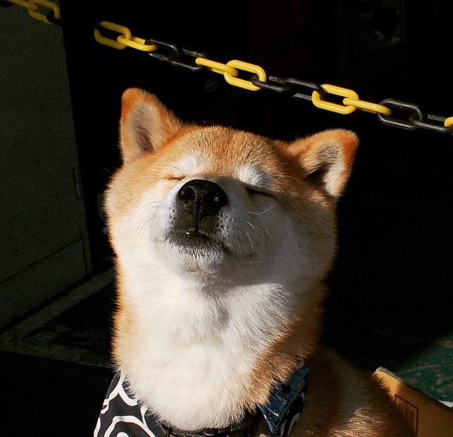 中国篮球俱乐部场馆设施维护与安全规范标准，篮球场馆建设