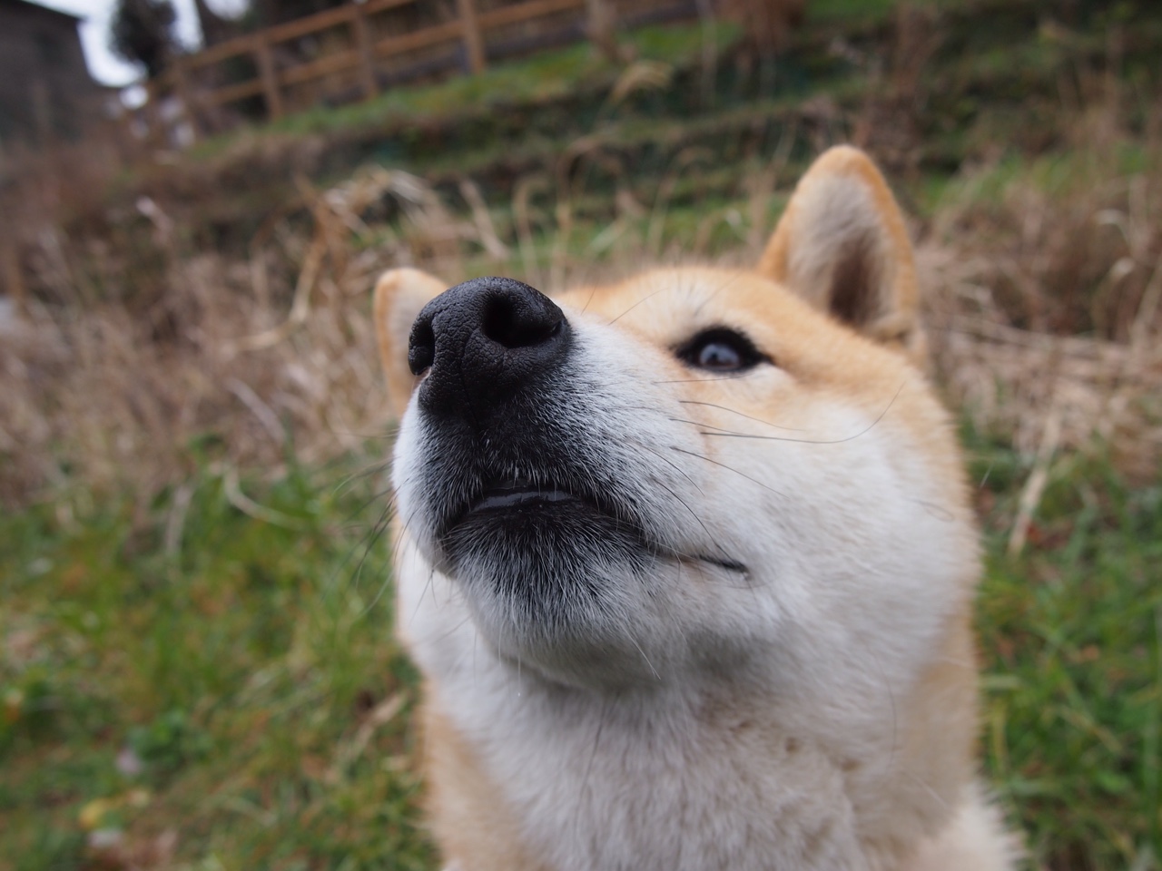 kaiyun网站-中国篮球如何构建本土教练人才梯队，中国篮球教练工资多少