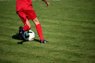 开云kaiyun-中国足球俱乐部青年队冬训与夏训计划差异，中国足球青训队员年龄是多少岁