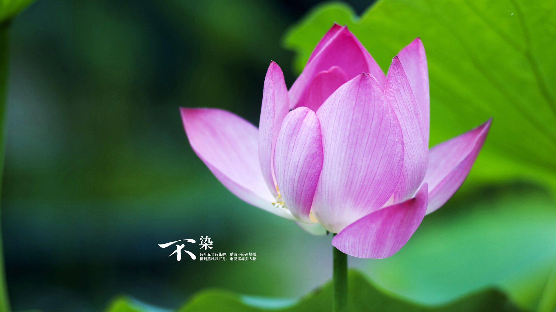 中国足球是否应在西部地区重点投资,中国足球都规划谁了