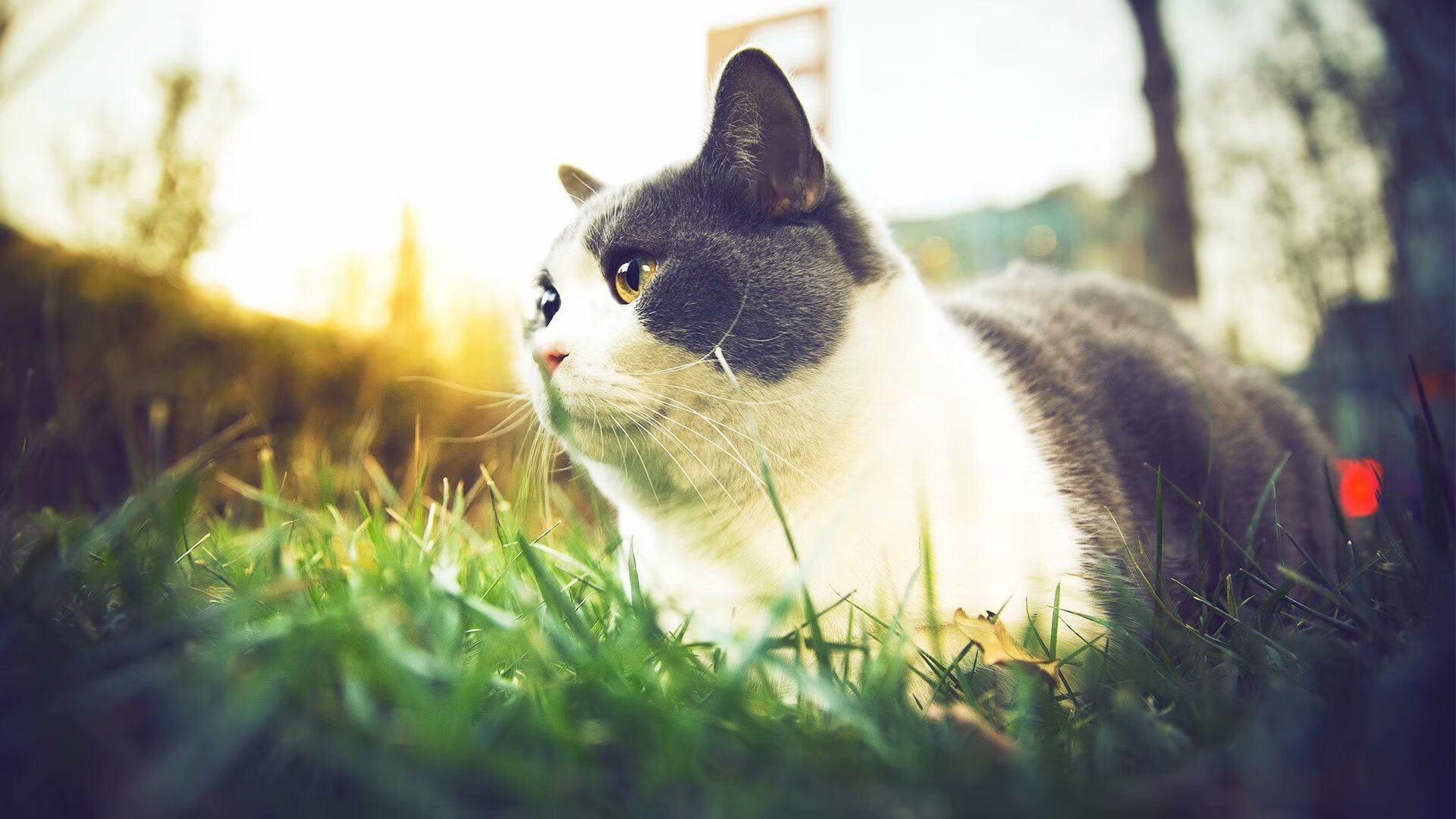 中国足球青训营的管理模式，中国的足球青训体系