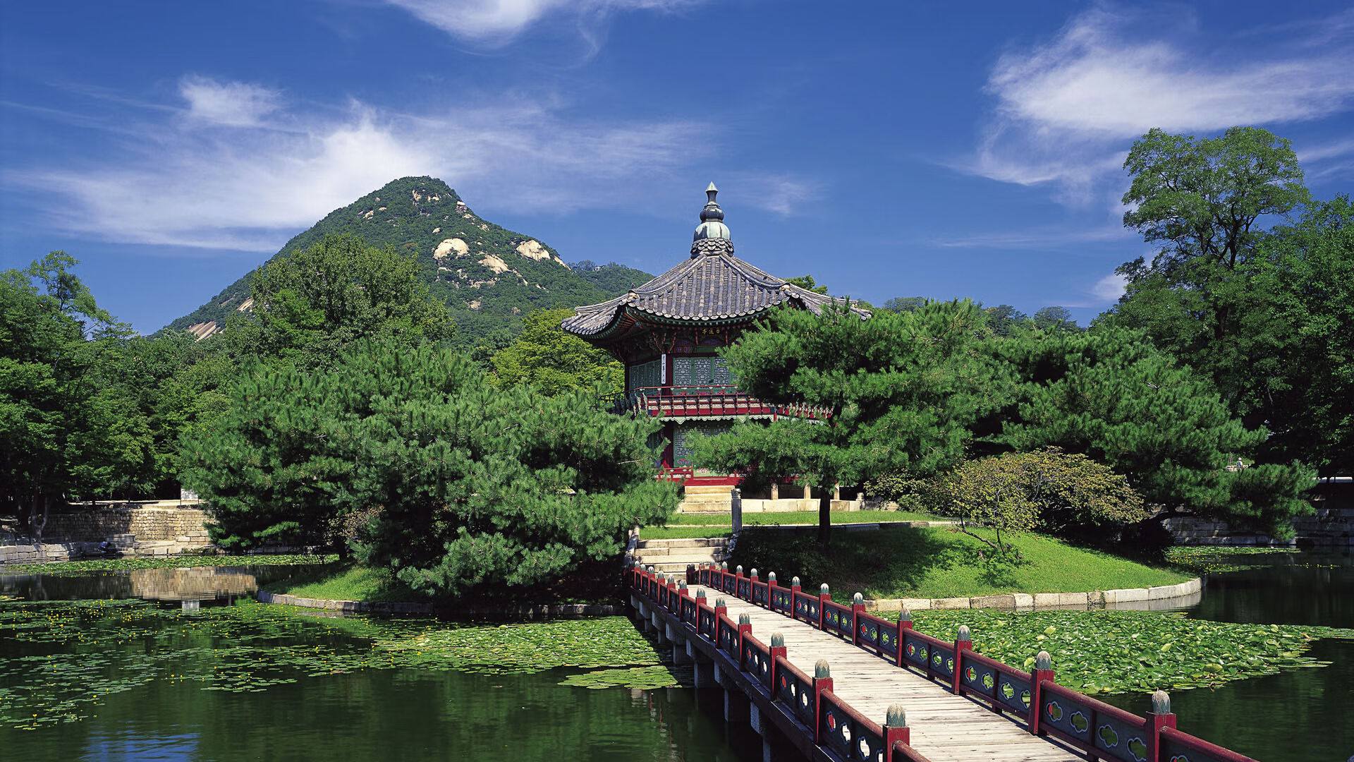 仰泳技术革新训练体系升级,仰泳技术动作要领